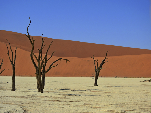 Sossusvlei Deadvlei Namibia