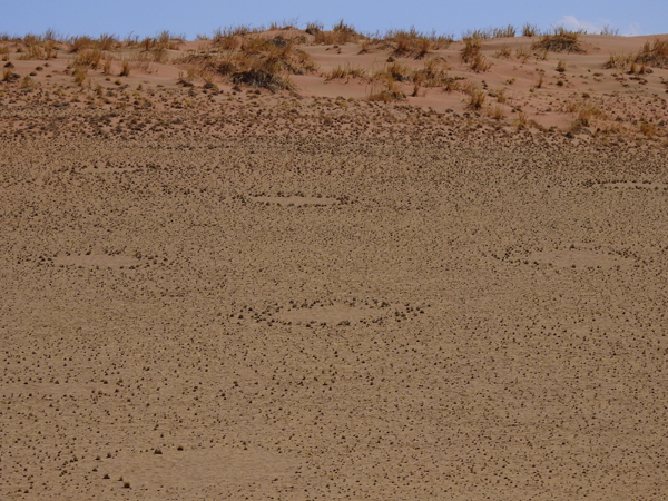 Sossusvlei Fairy Circles Namibia